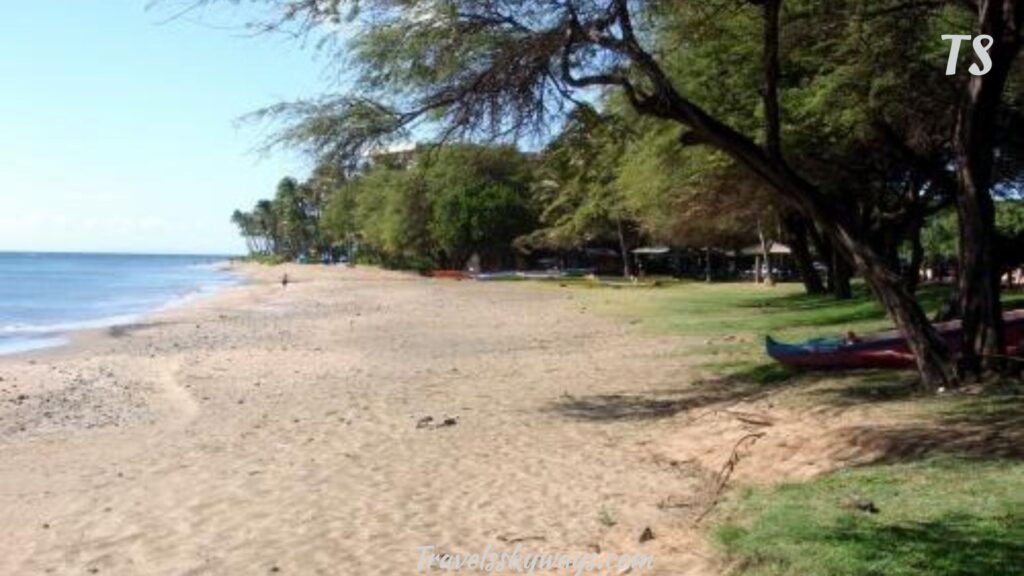 best-places-to-start-your-kaanapali-beach-walk