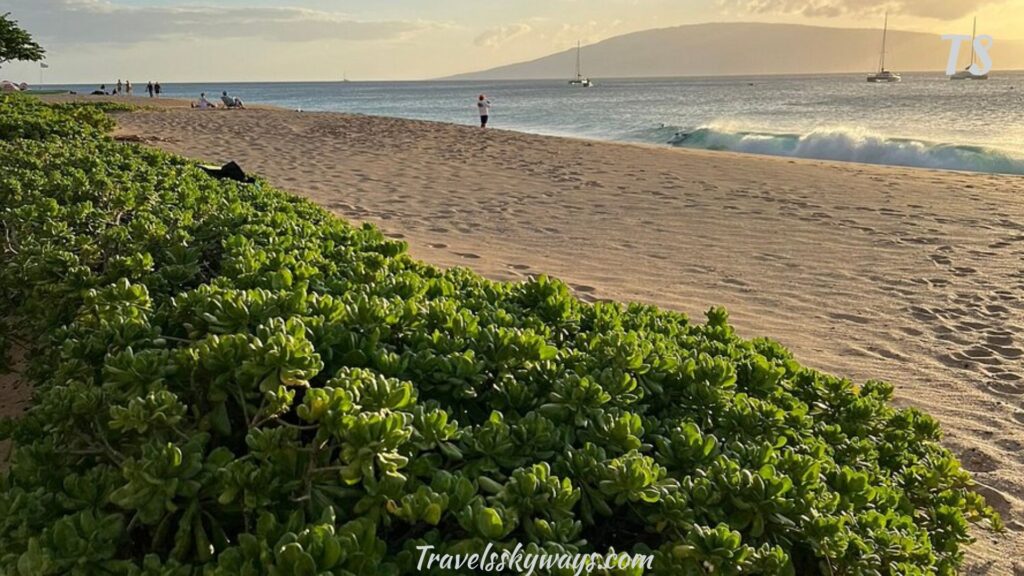 seasonal-tips-when-to-walk-kaanapali-beach-for-the-best-weather-and-crowds