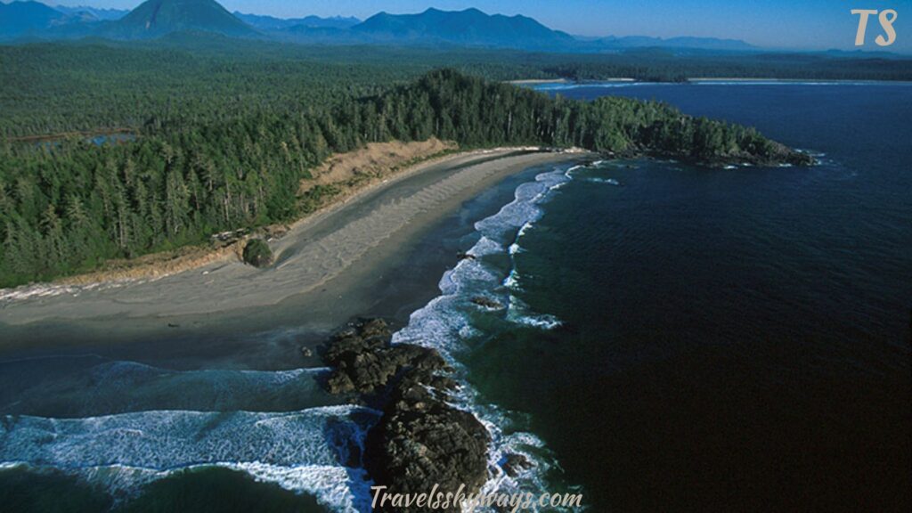 5-day-vancouver-island-itinerary-cathedral-grove-beyond