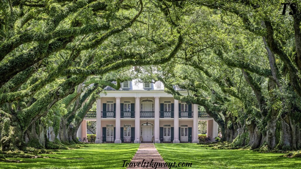 exploring-history-and-culture-on-mississippi-shore-tours