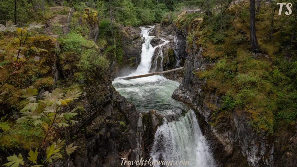 nearby-attractions-other-vancouver-island-experiences