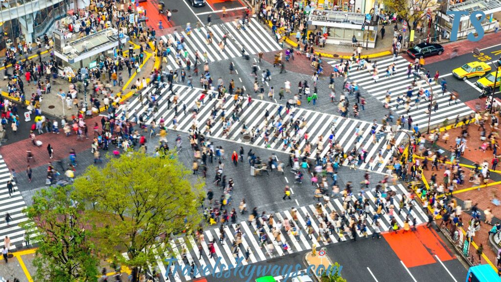 one-week-japan-itinerary-overview-your-perfect-7-day-adventure