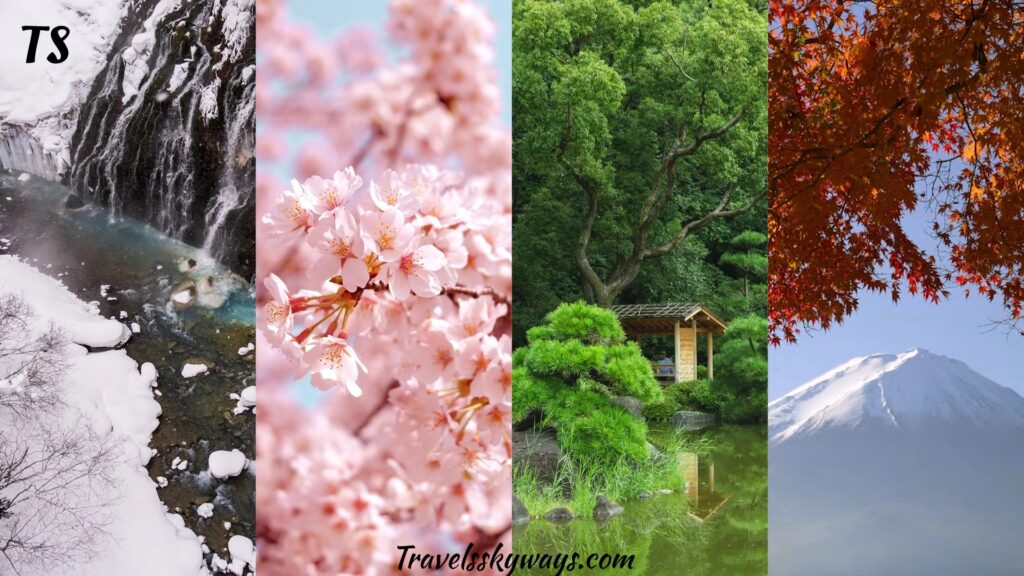 when-to-visit-japan-best-seasons-for-your-one-week-japan-itinerary