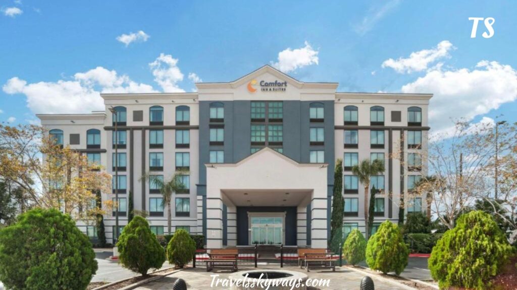 comfort-inn-suites-new-orleans-airport