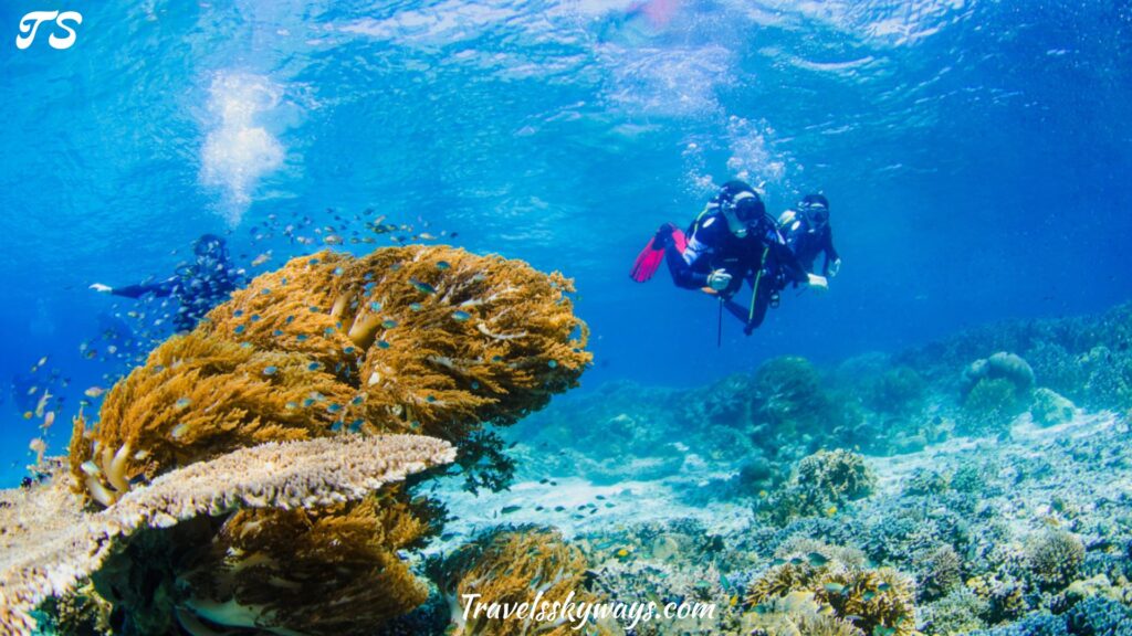 scuba-dive-in-raja-ampat-indonesia