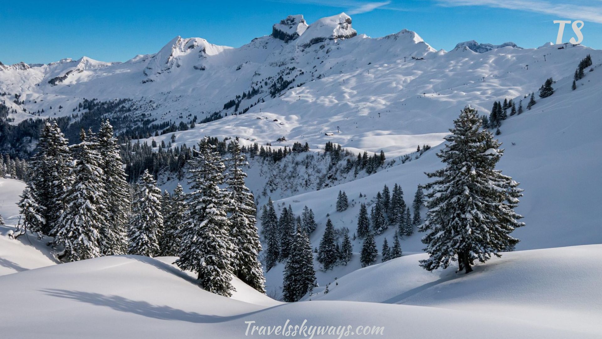 Discover Colorado’s Best Ski Resorts: Ultimate 2025 Guide